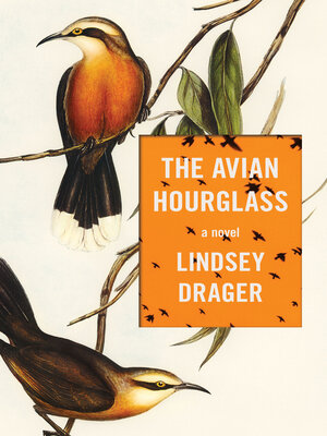 cover image of The Avian Hourglass